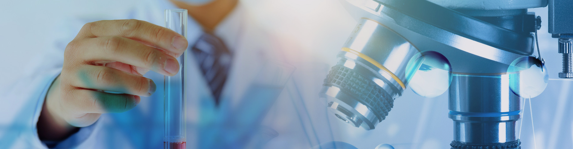 骨架型緩釋制劑技術_技術與服務_廣州玻思韬控釋藥業有限公司